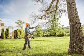 Best Emergency Tree Removal  in Newport, NC